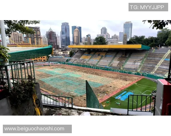 广州篮球队实力大变革引发热议球迷期待新赛季的精彩表现